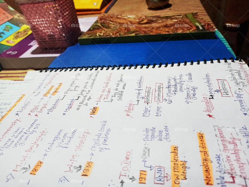 let's mark the book .