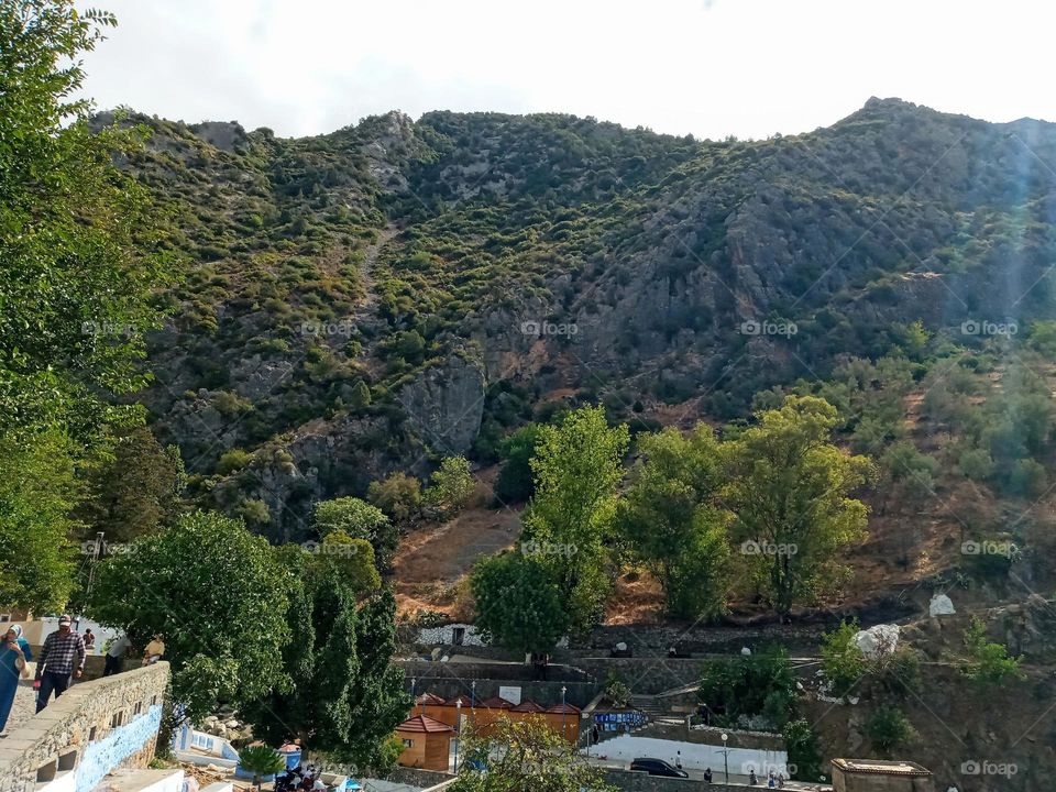 Population between the nature