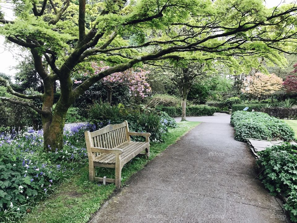 Park bench
