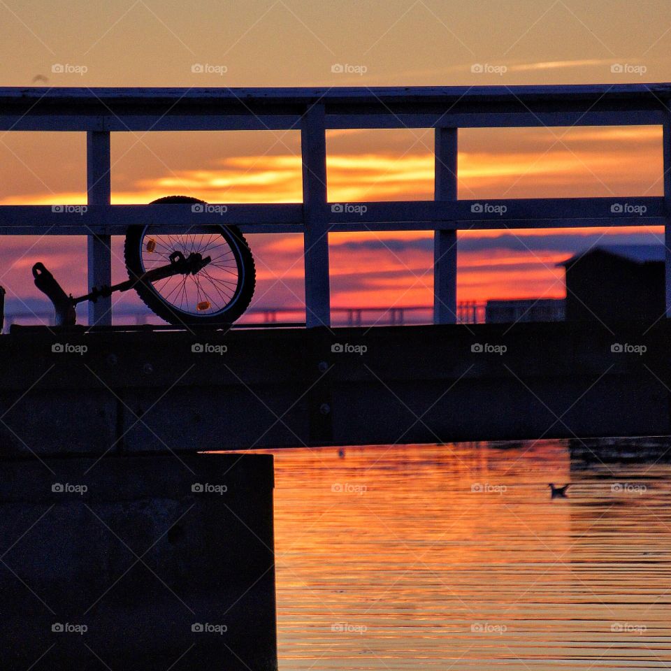 Unicycle in sunset