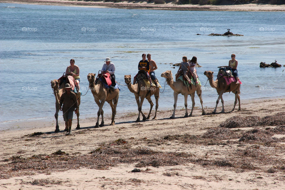 beach water train sand by kshapley