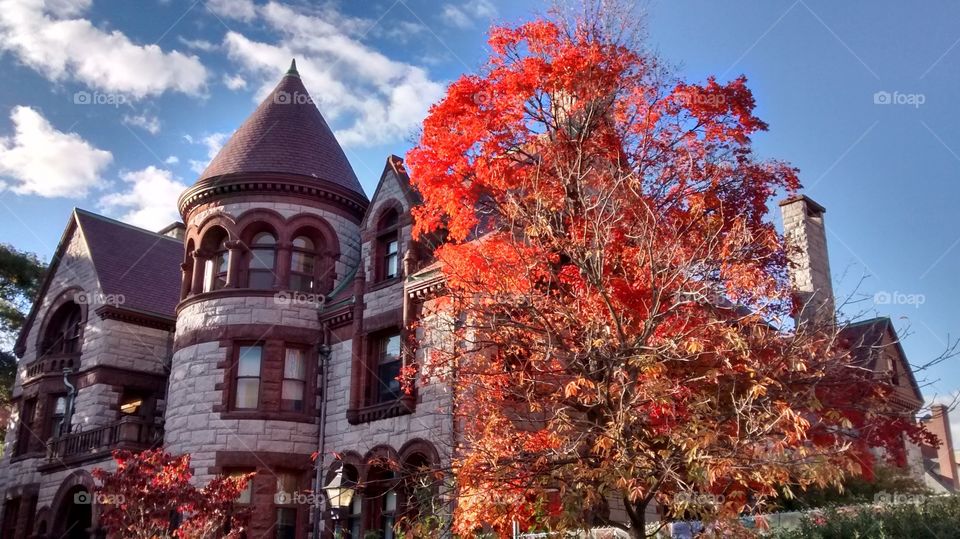 Architecture, Building, No Person, Tree, City