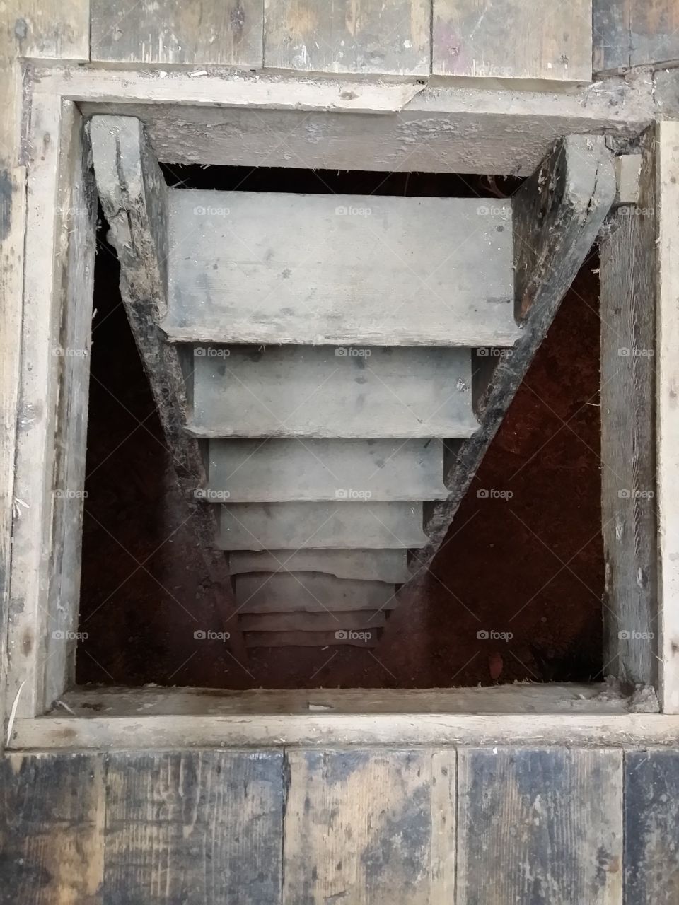 ladders leading to a cellar