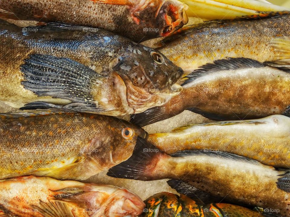 Fresh Fish In A Chinese Market. Fish For Sale At A Chinese Street Market
