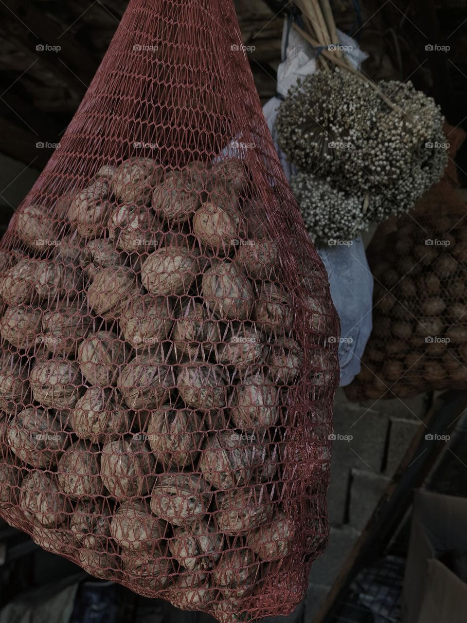 autumn fruits and vegetables