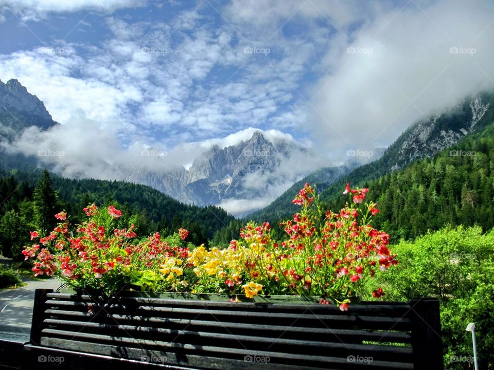 View to the Julian Alps, Kranjska Gora, Slovenia with vivid flowers and spectacular clouds