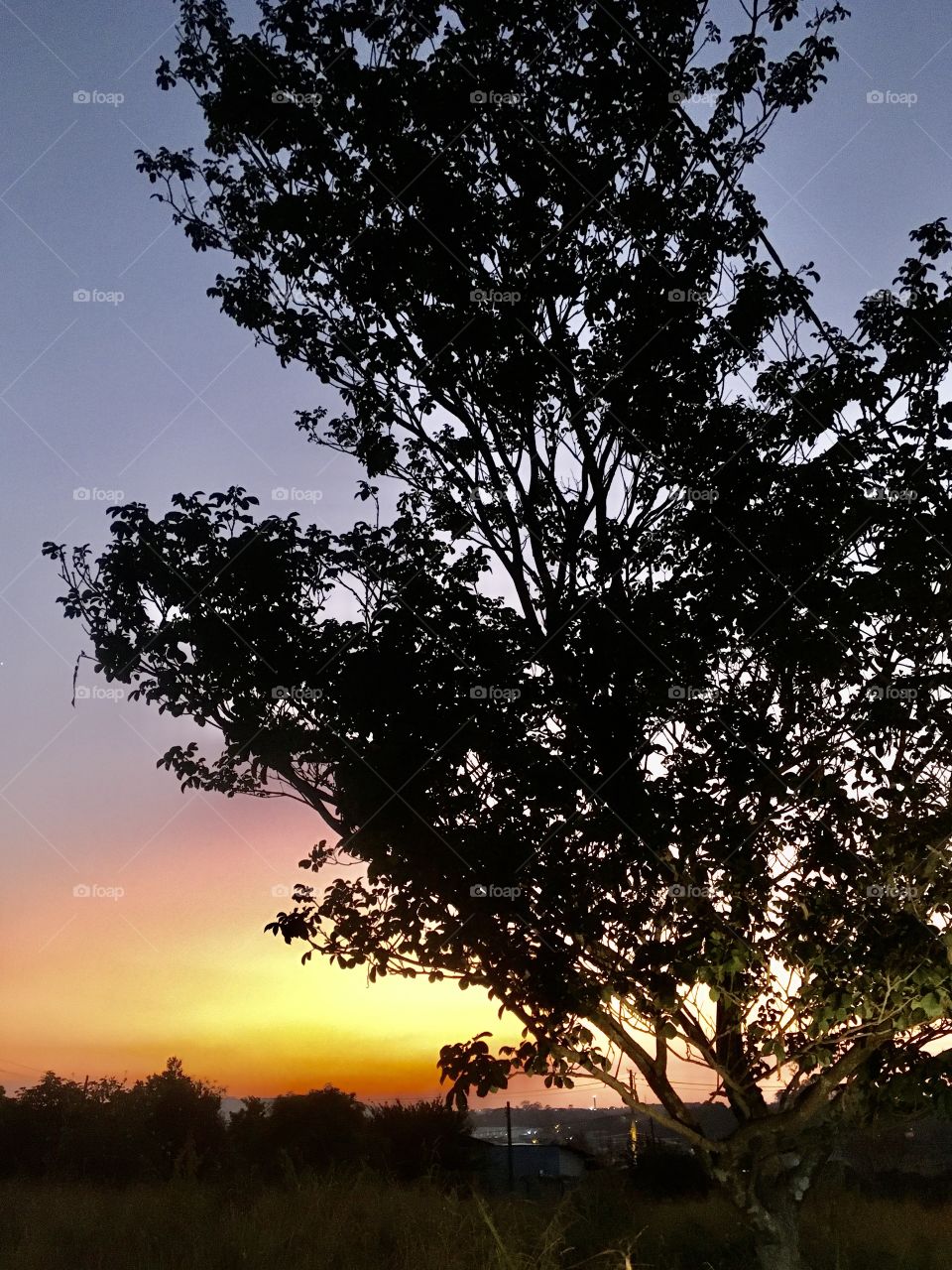 A very beautiful landscape of the Brazilian evening. Live nature and its beauty! / Uma paisagem muito bonita do entardecer brasileiro. Viva a natureza e sua beleza!