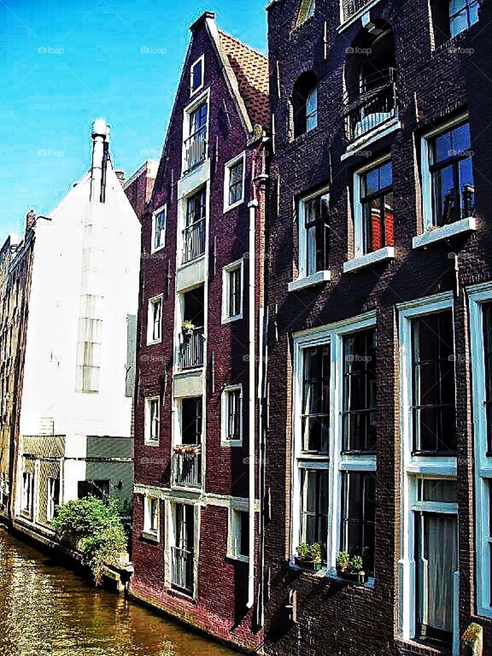 Houses along the Channel 