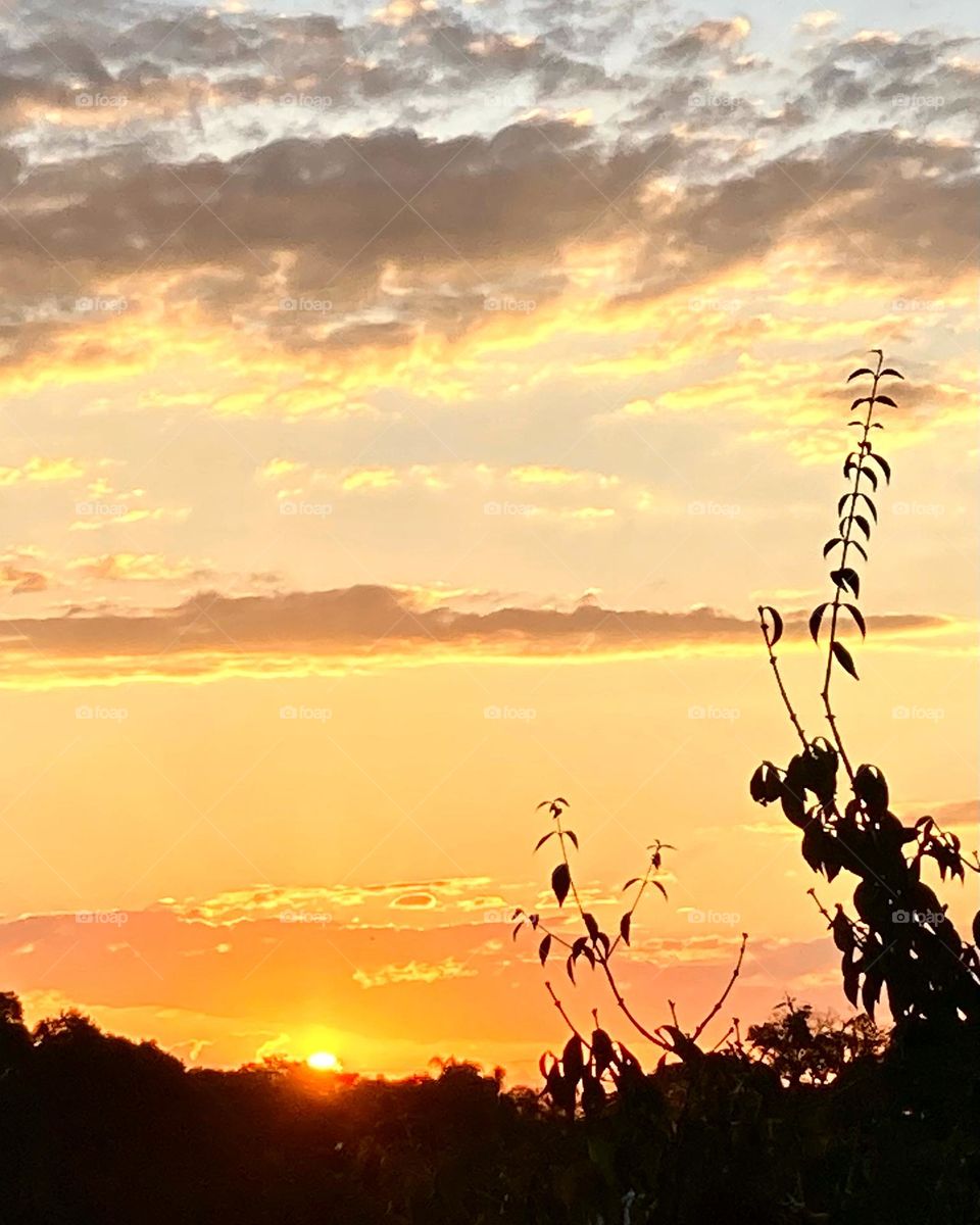 🌇🇺🇸 An extremely beautiful sunset in Jundiaí, interior of Brazil. Cheer the nature! / 🇧🇷 Um entardecer extremamente bonito em Jundiaí, interior do Brasil. Viva a natureza! 