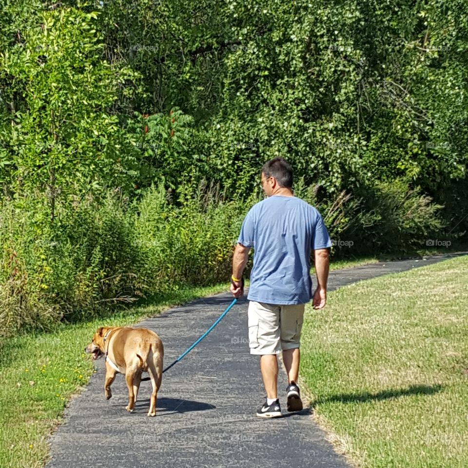 Walking his owner