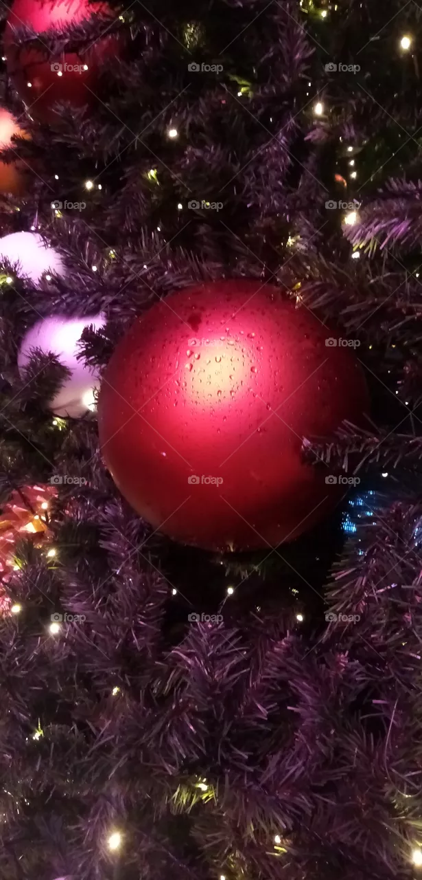 Tannenbaum