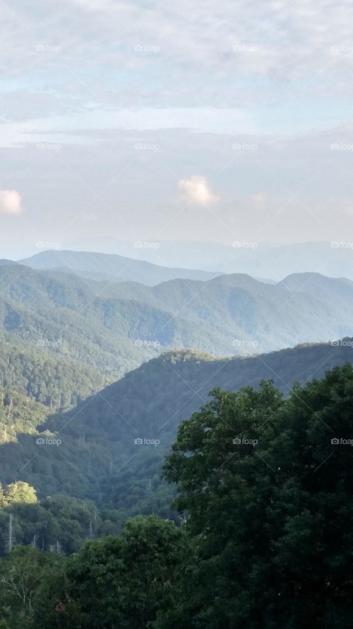 Clingmans dome Great Smokie Mountains NC