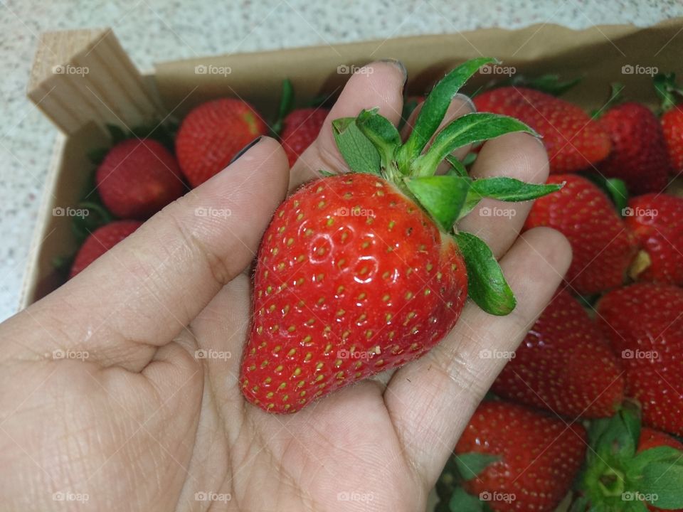 strawberry