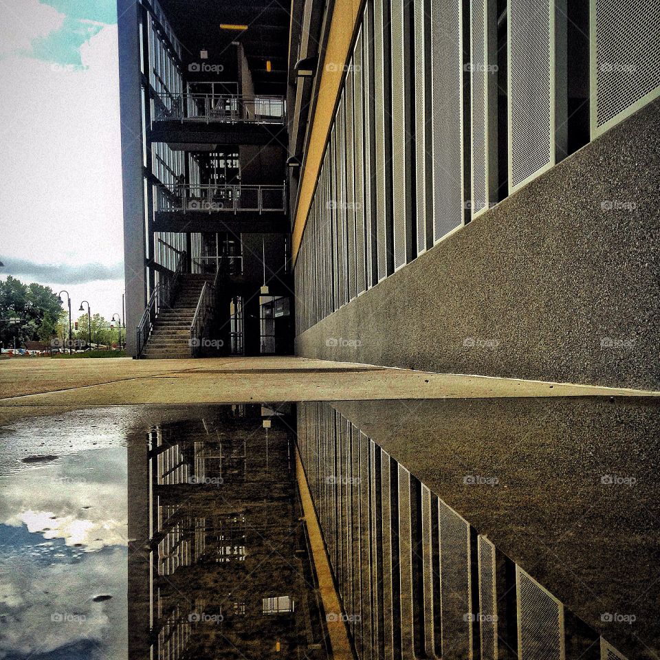 Bilateral symmetry . A puddle reflection 