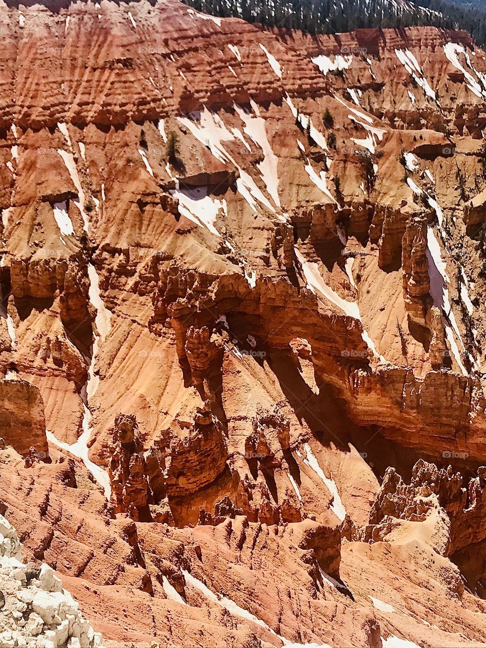 Cedar Breaks National Monument 