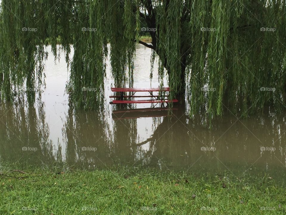 Flooded picnic table