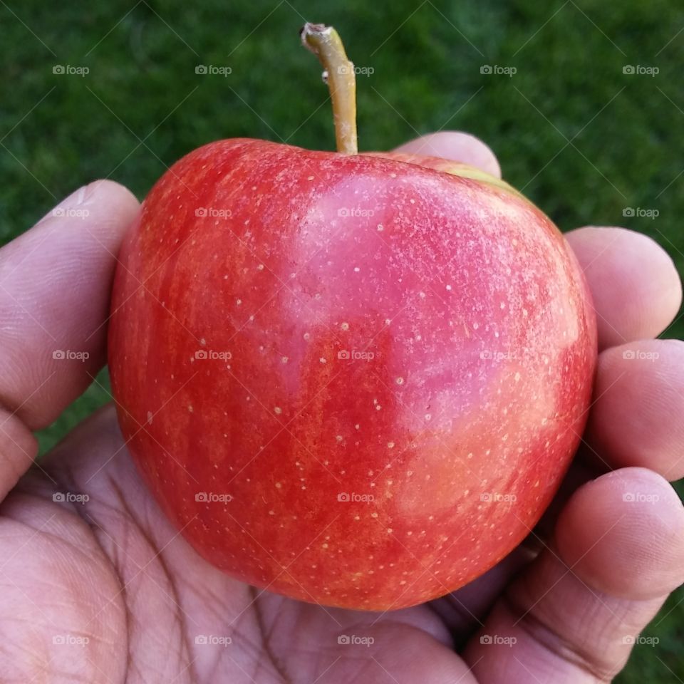 Apple