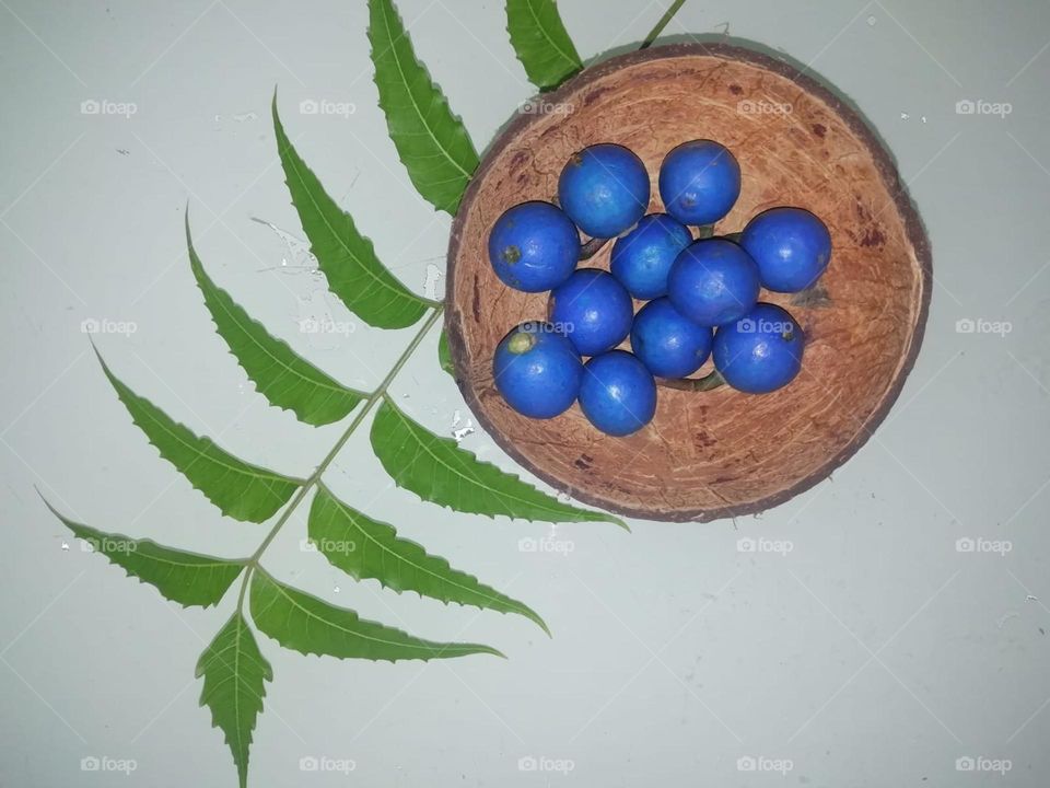 Blue Olives with Neem Leaves