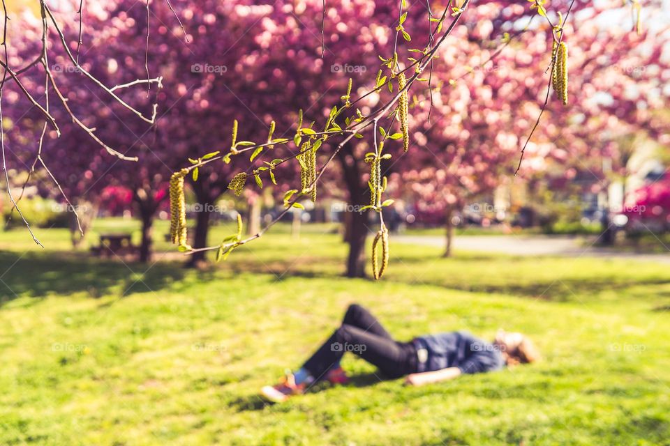 a little nap in a grass