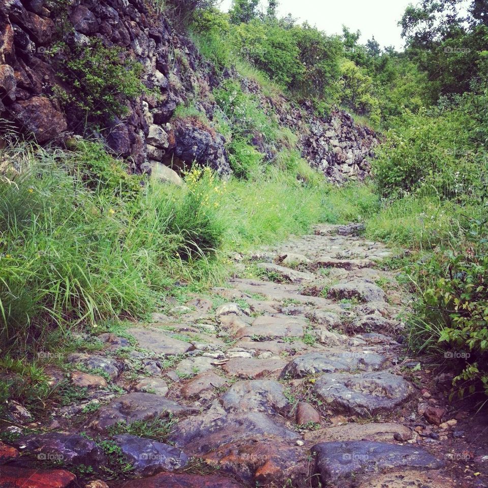 Randonnée sous la pluie