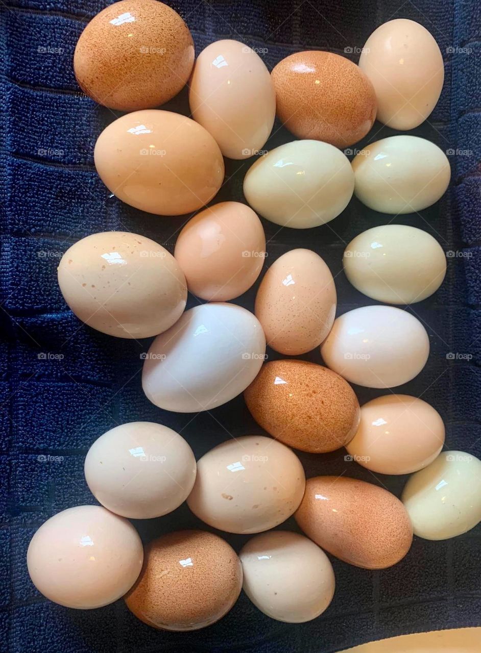 When your chickens color the Easter eggs for you