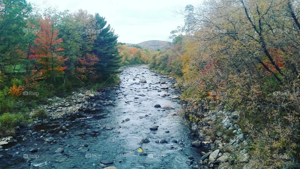 river in fall