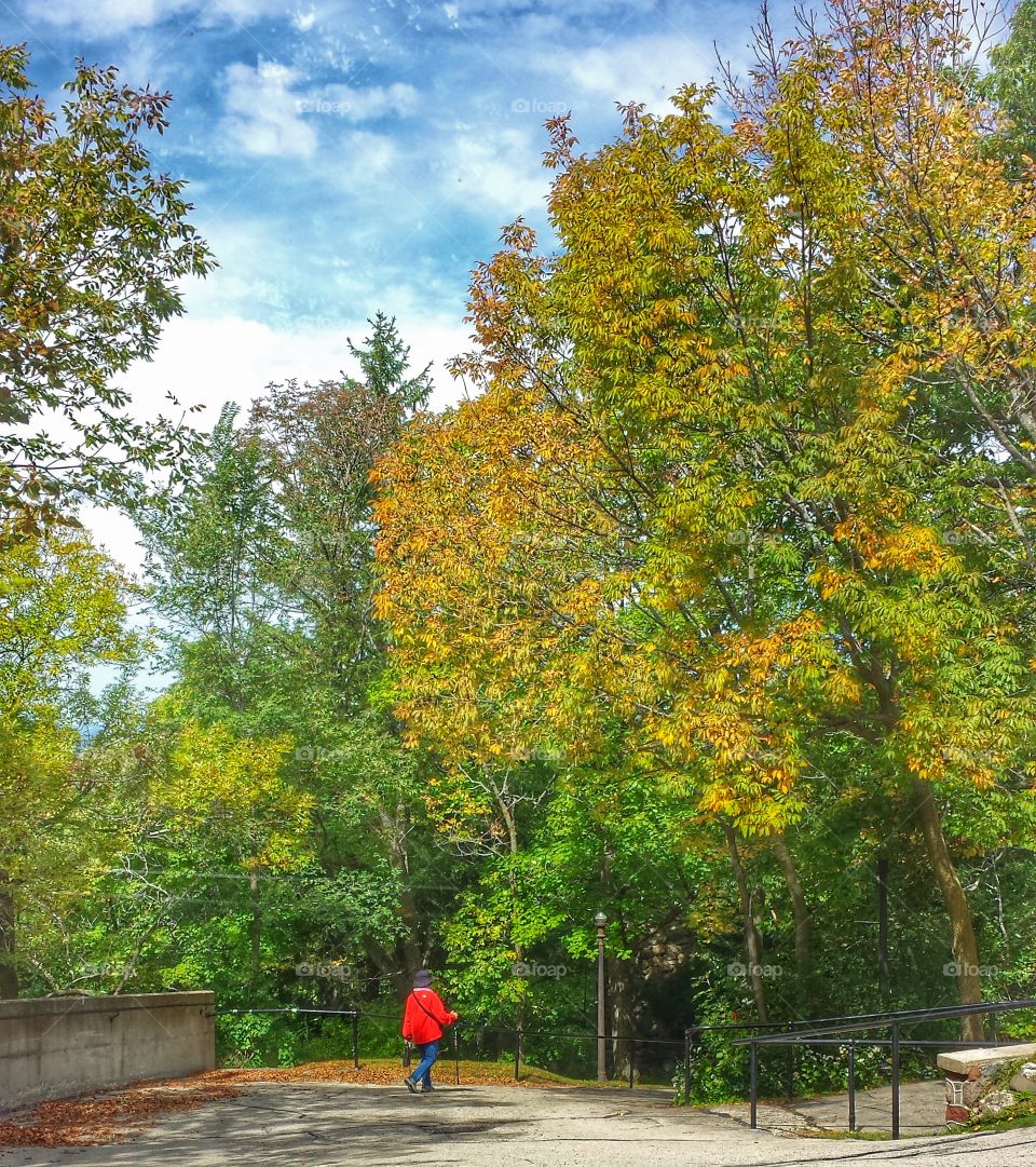 Nature. Autumn Walk