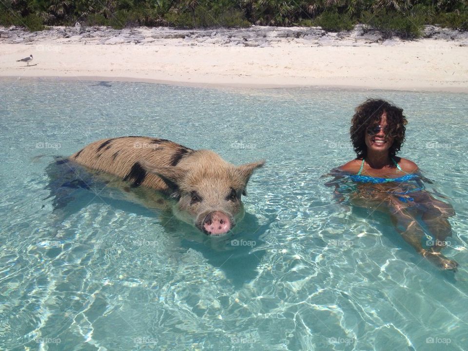 Pig island, Bahamas