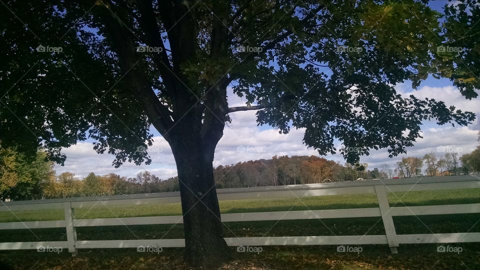 Country side. I took this pic in New Jersey in October 2015 of the side of a country road