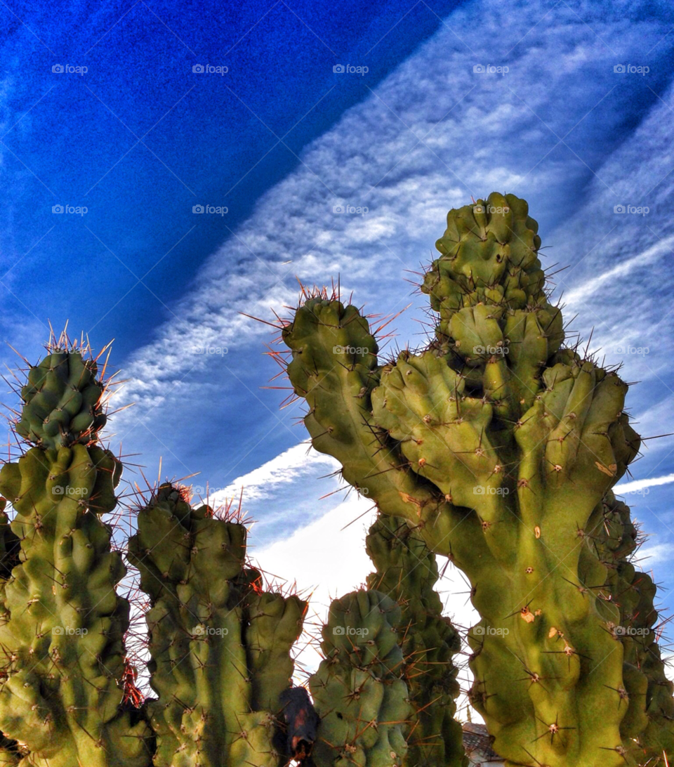 white dramatic contrails phoenix arizona by stevehardley7
