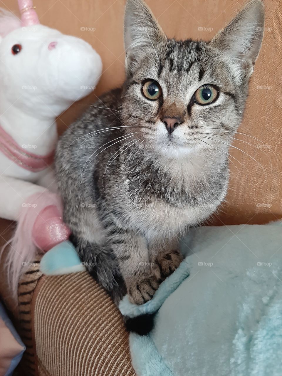 Ну я   такая   прям   красота!