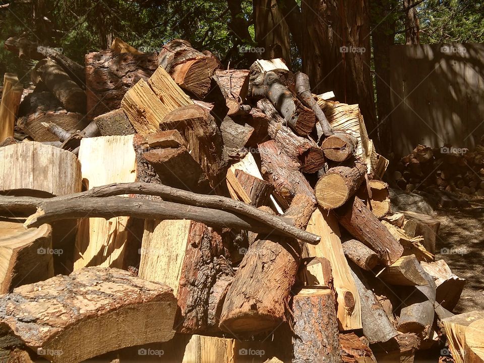 Wood pile