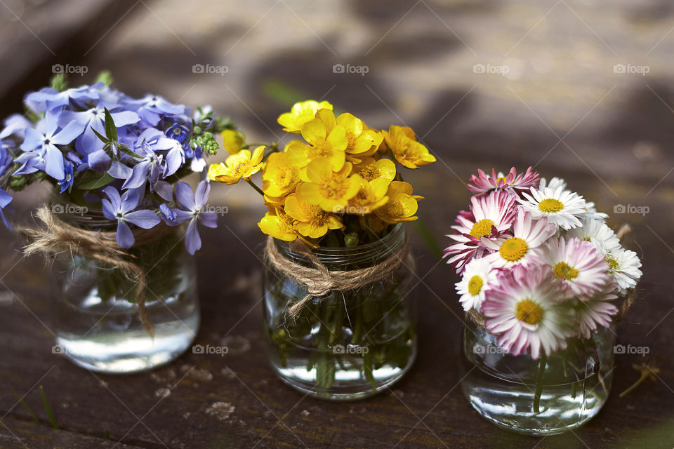 colorful flowers in vases