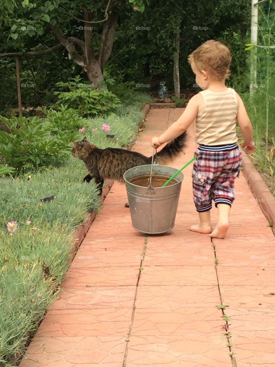 boy and cat