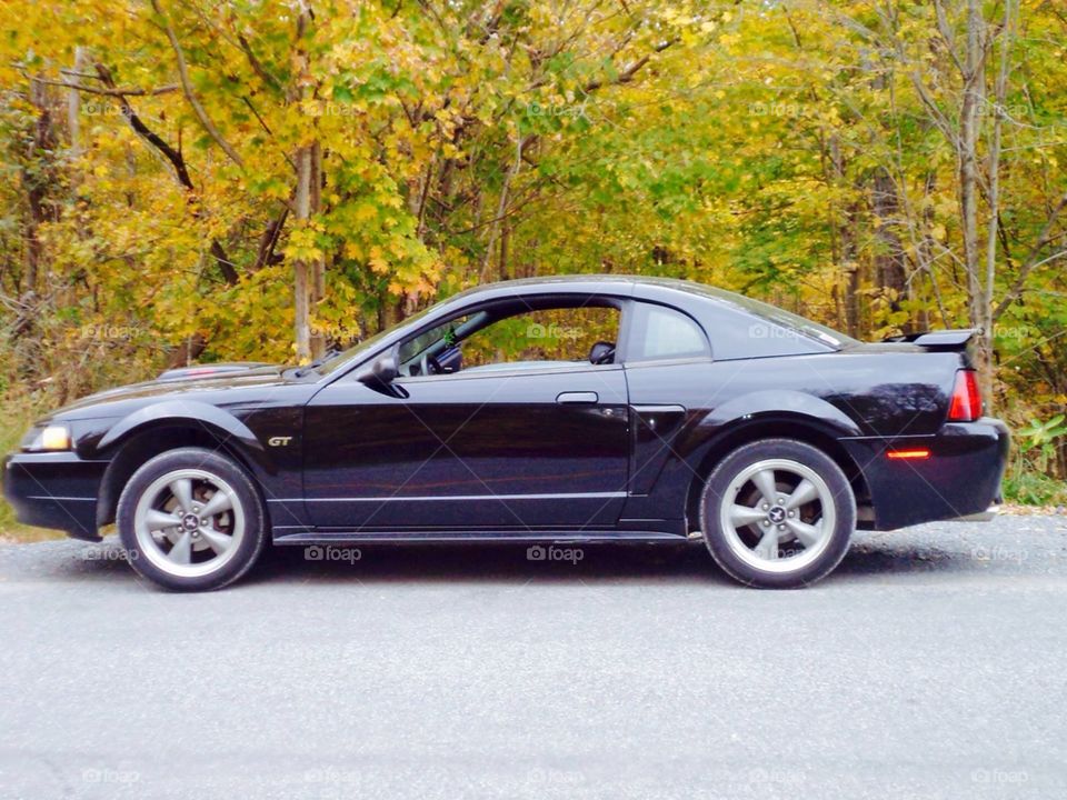 Untitled . Picture of our 2002 Mustang