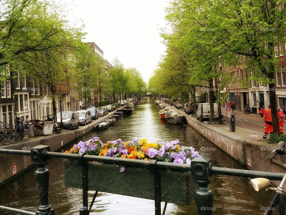 Sunset in Delft - Netherland