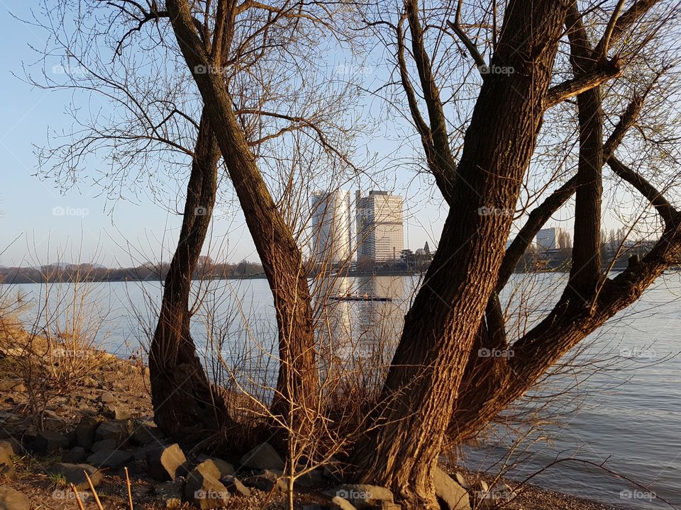 Rhein Bonn