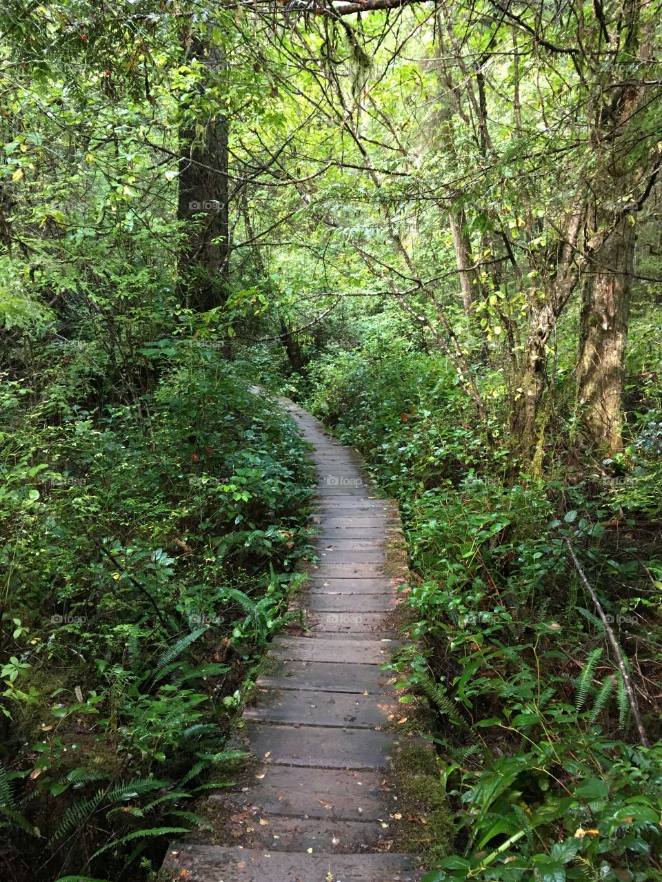 Springtime hiking 