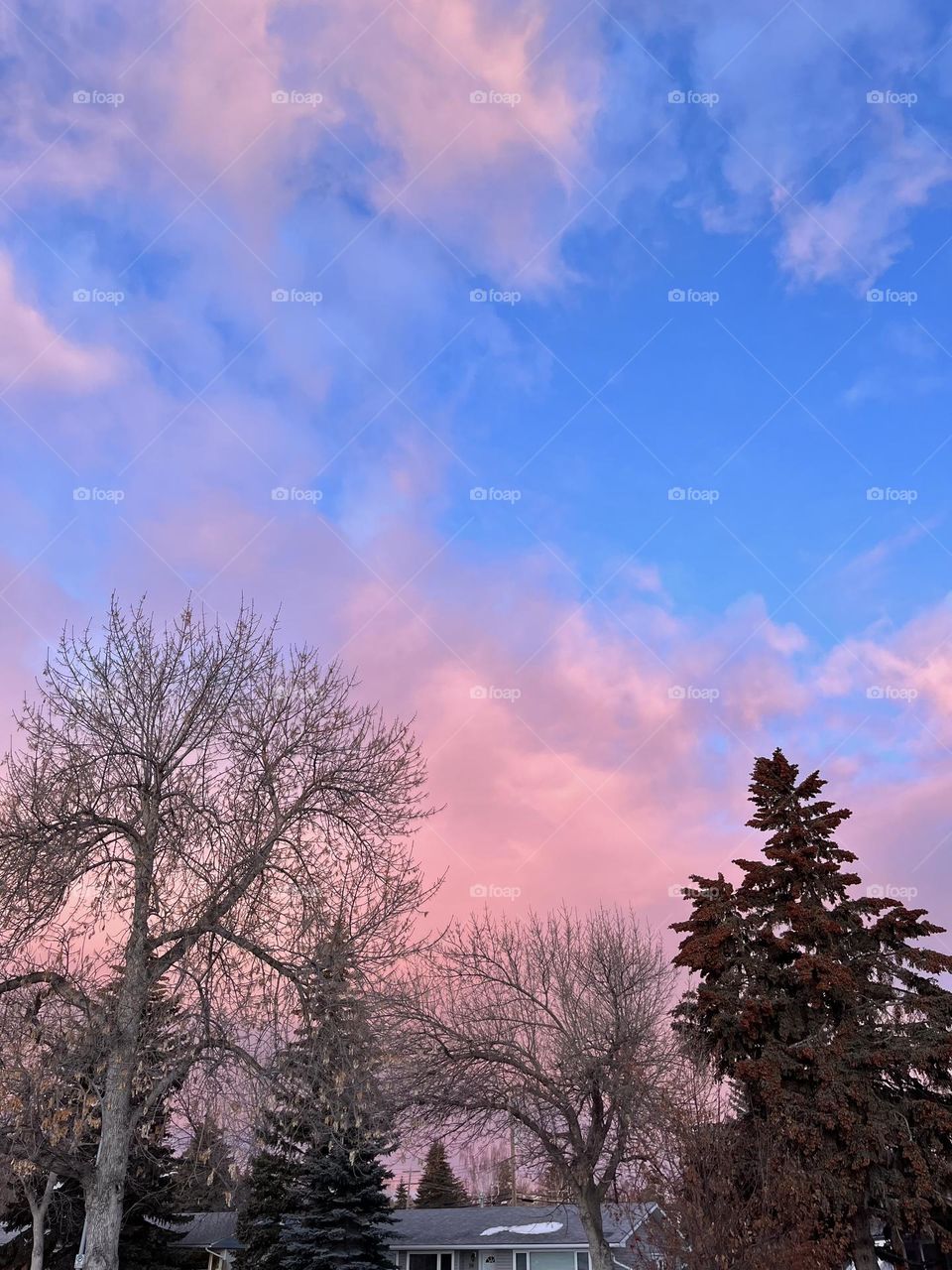Pink sky