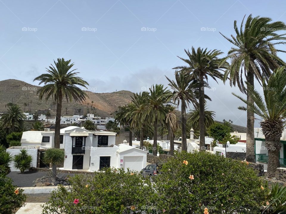 The Canarian village