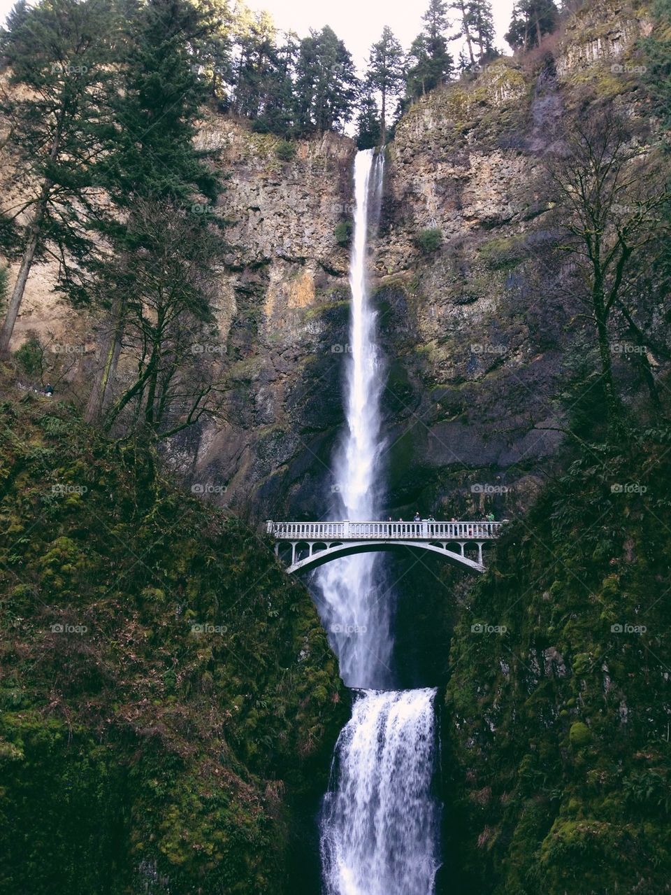 Multnomah Falls