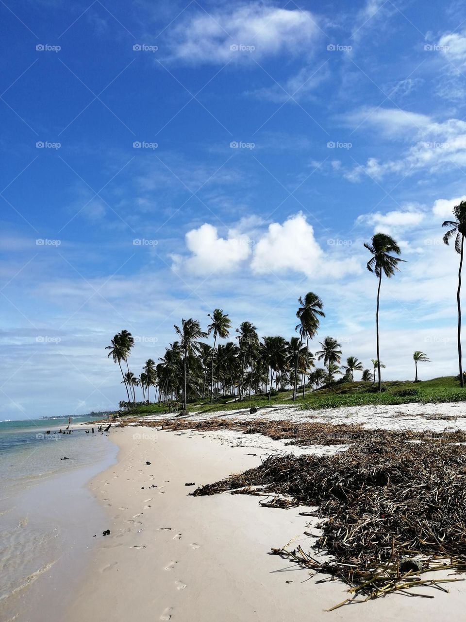 footsteps on a tropical beach