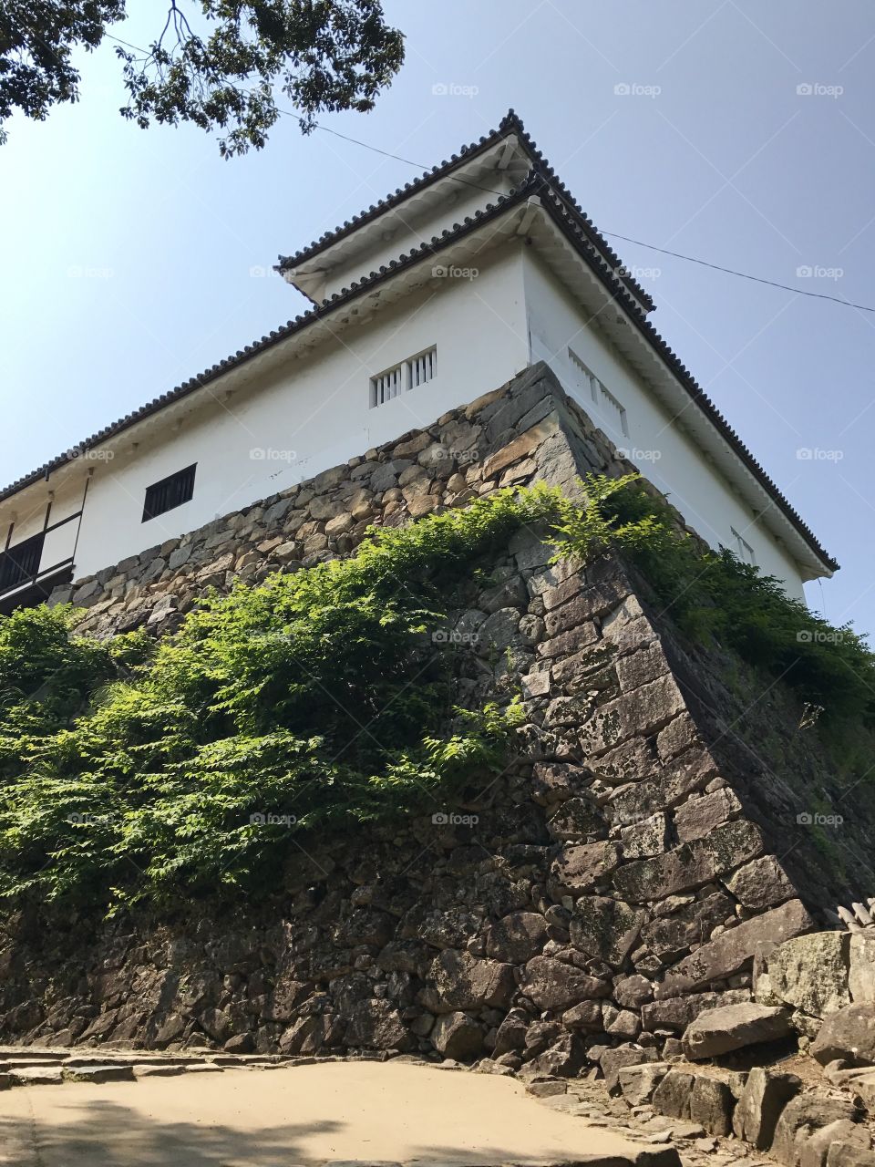 Hikone castle wall