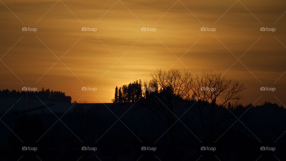 Silhouette trees at sunset