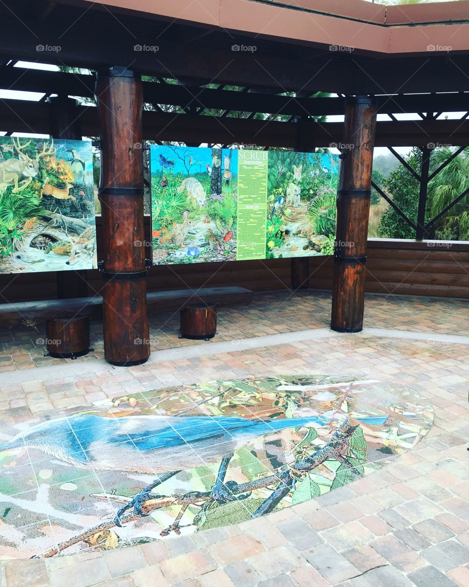 The bird blind in PEAR Park near Leesburg is finished and looks great birdind #birdwatching #bird #wildlifewatching