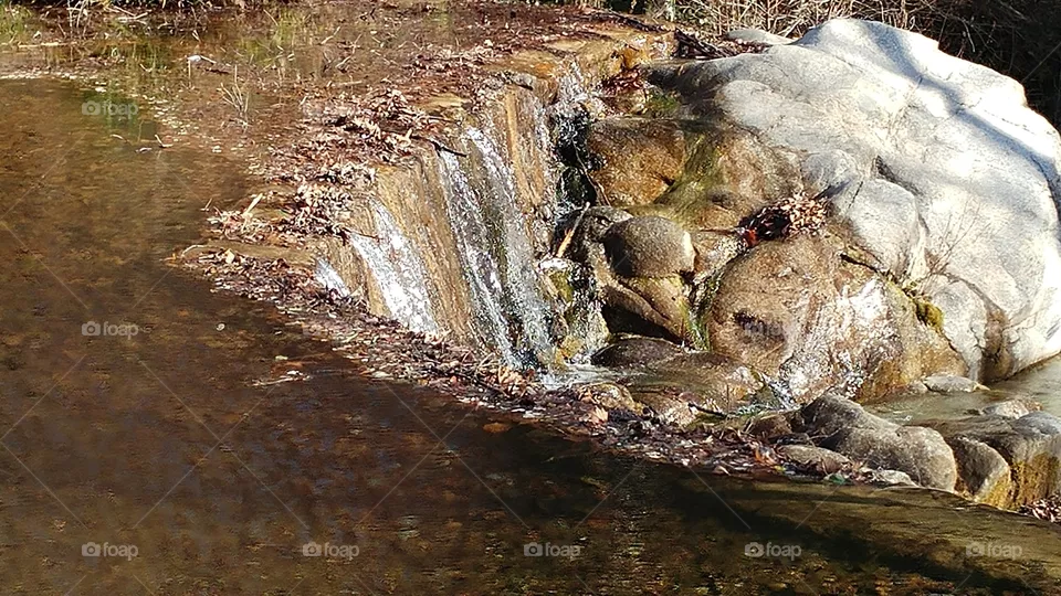 fall