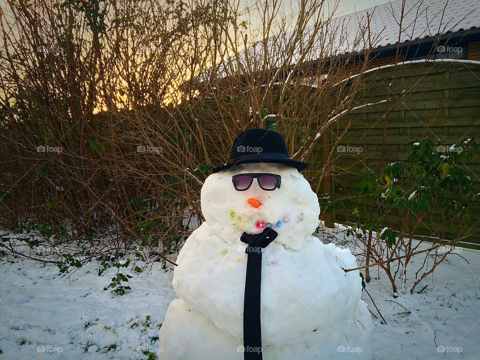 Business SnowMan