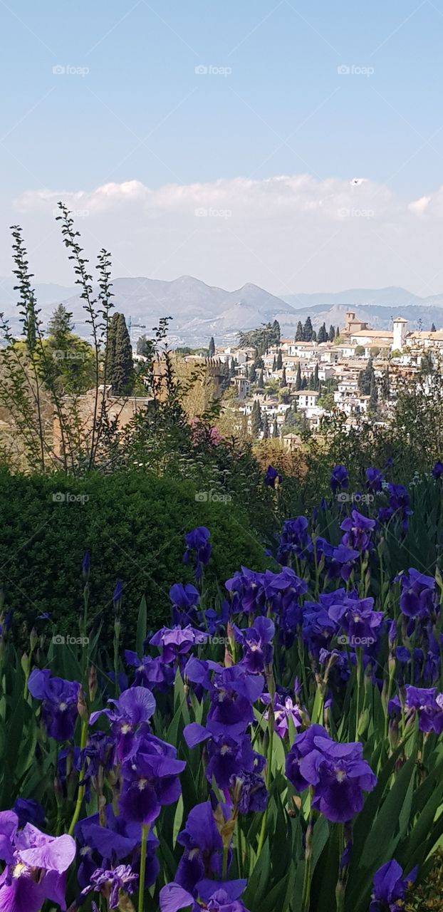 View from alhambra
