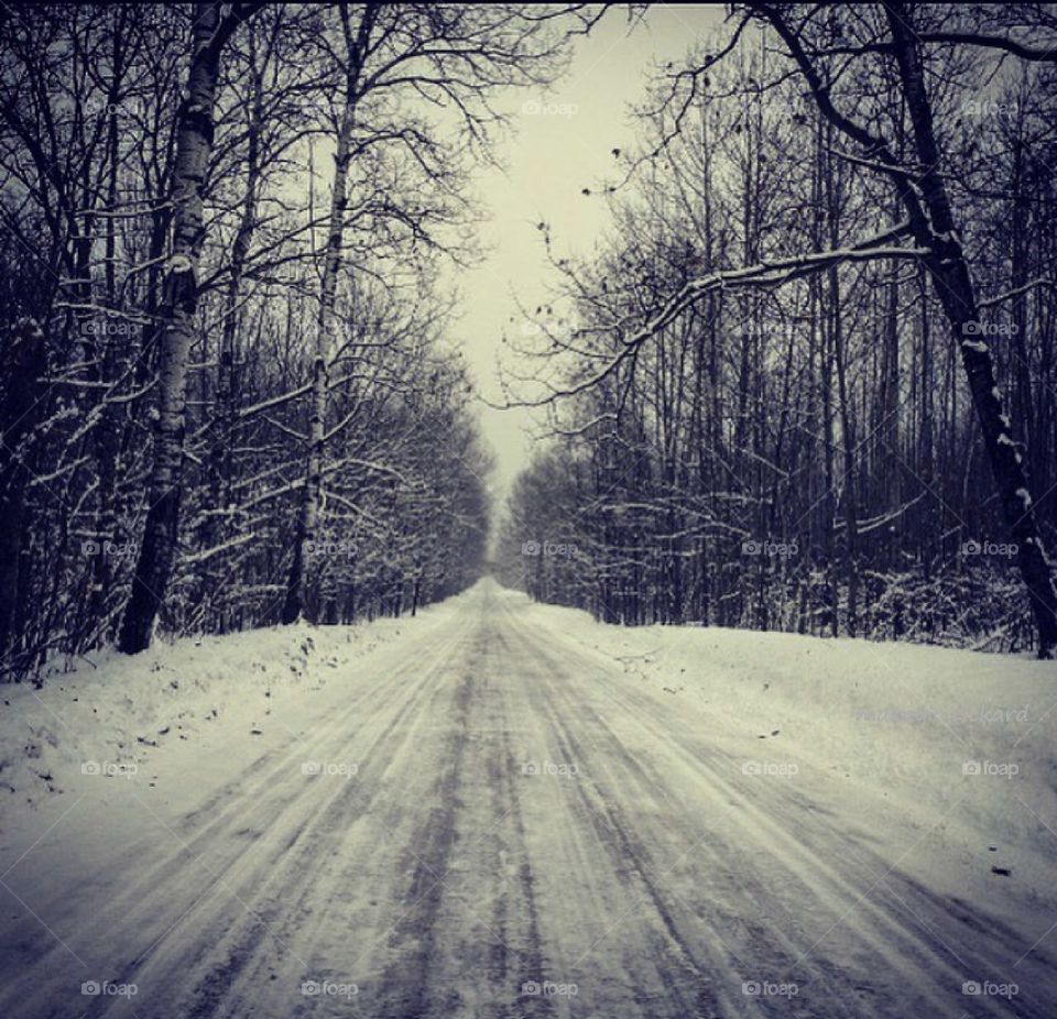 Snowy gray road going throw some woods.