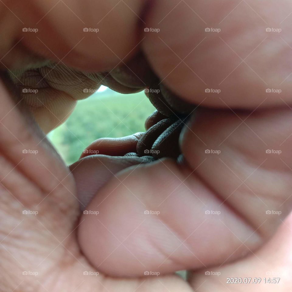 my round hand show up 
nice wonderful and amazing day